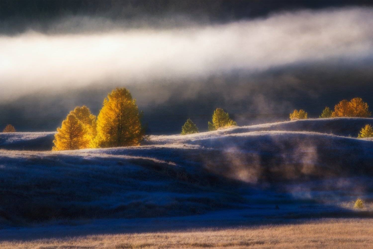 алтай, горы, Владимир Ляпин