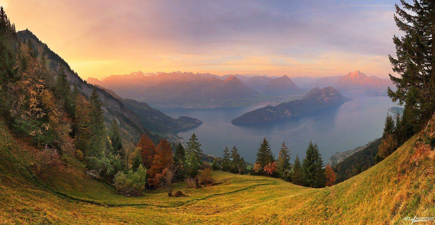 swiss, Матвеев Николай