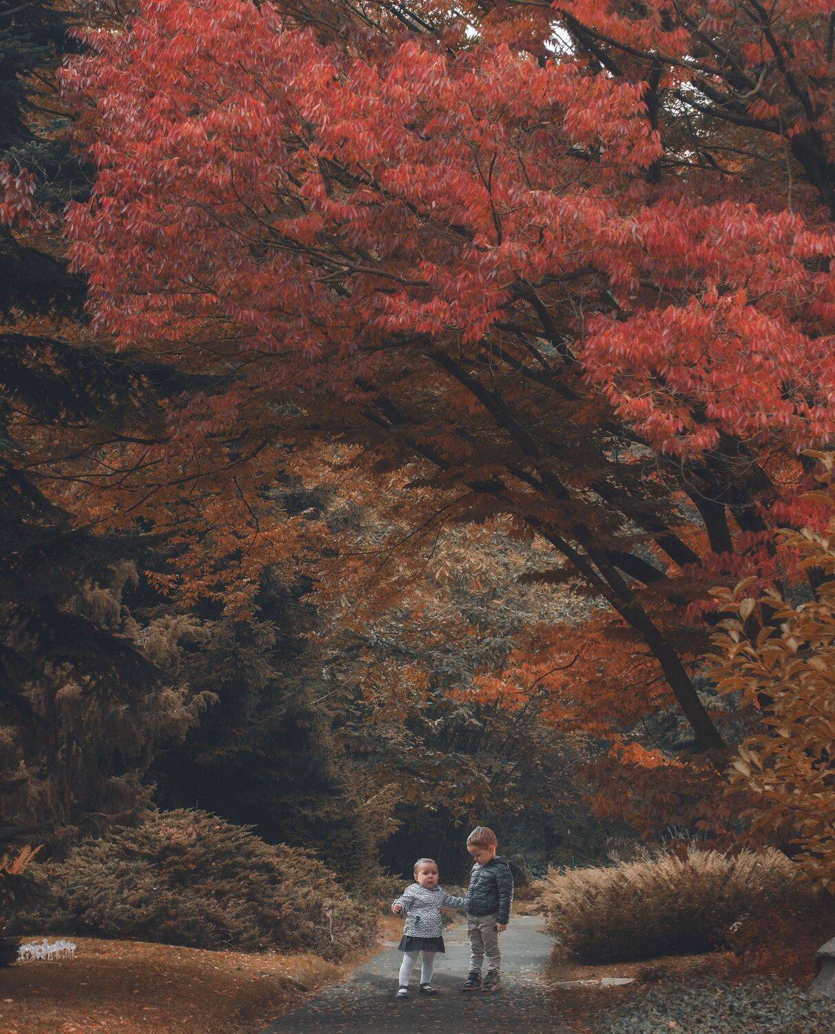 , Arkadiusz Michalak