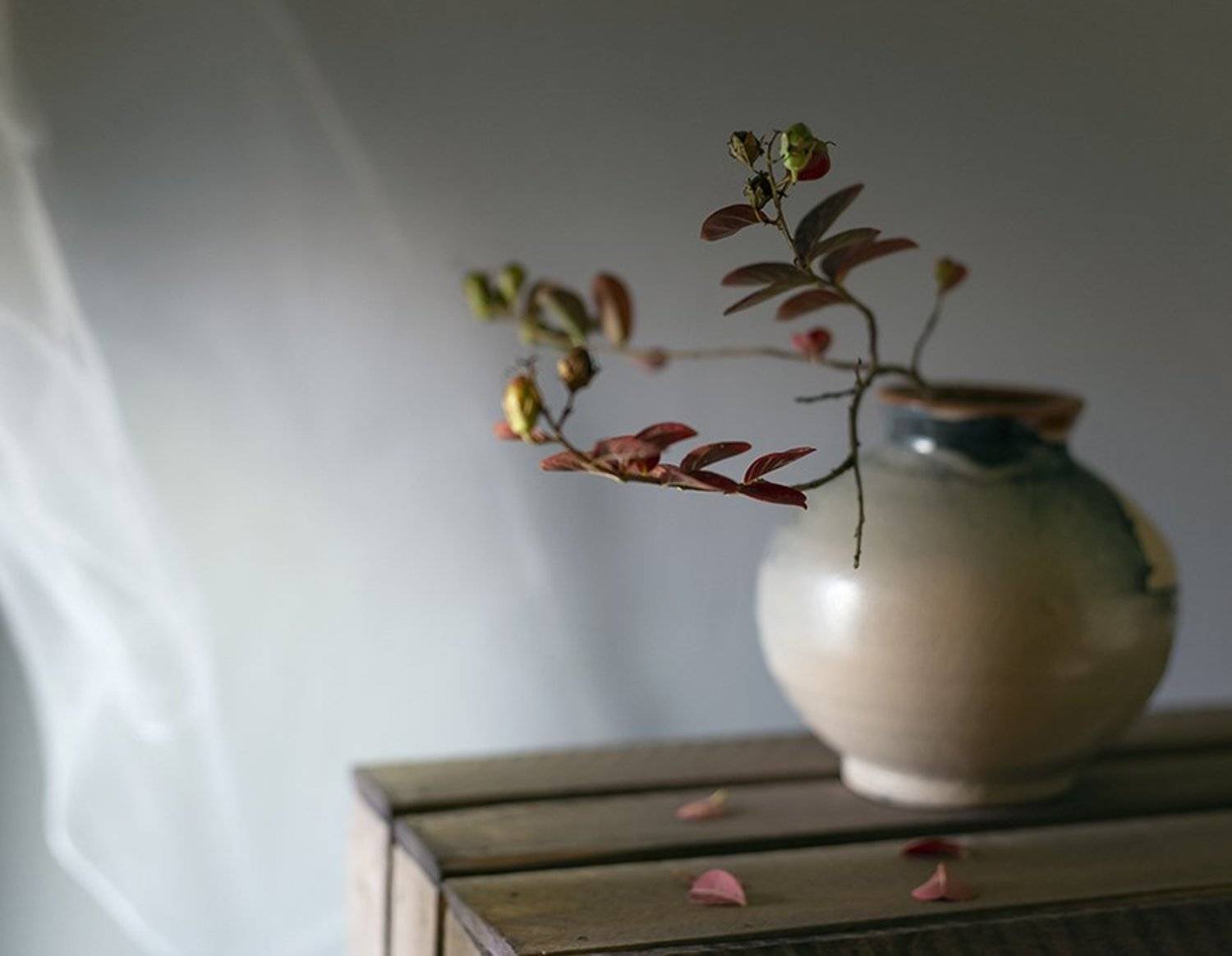 натюрморт, фрукты, хурма, Оля