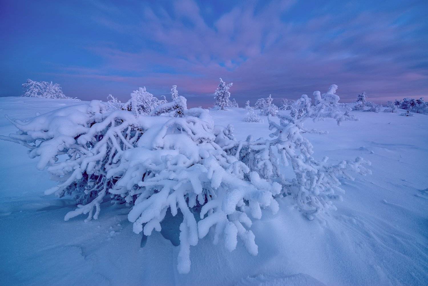 , Максим Евдокимов (phototourtravel.ru)