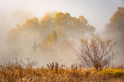 Карпаты
