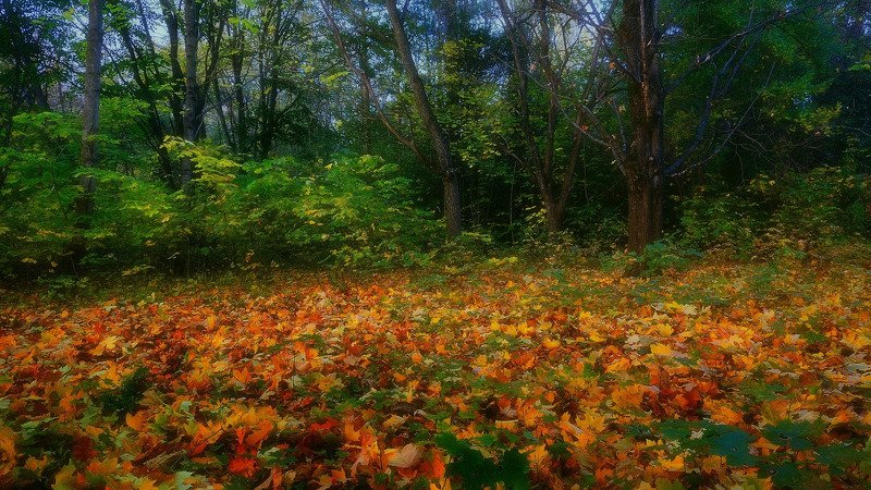 Осенний мотив фото превью