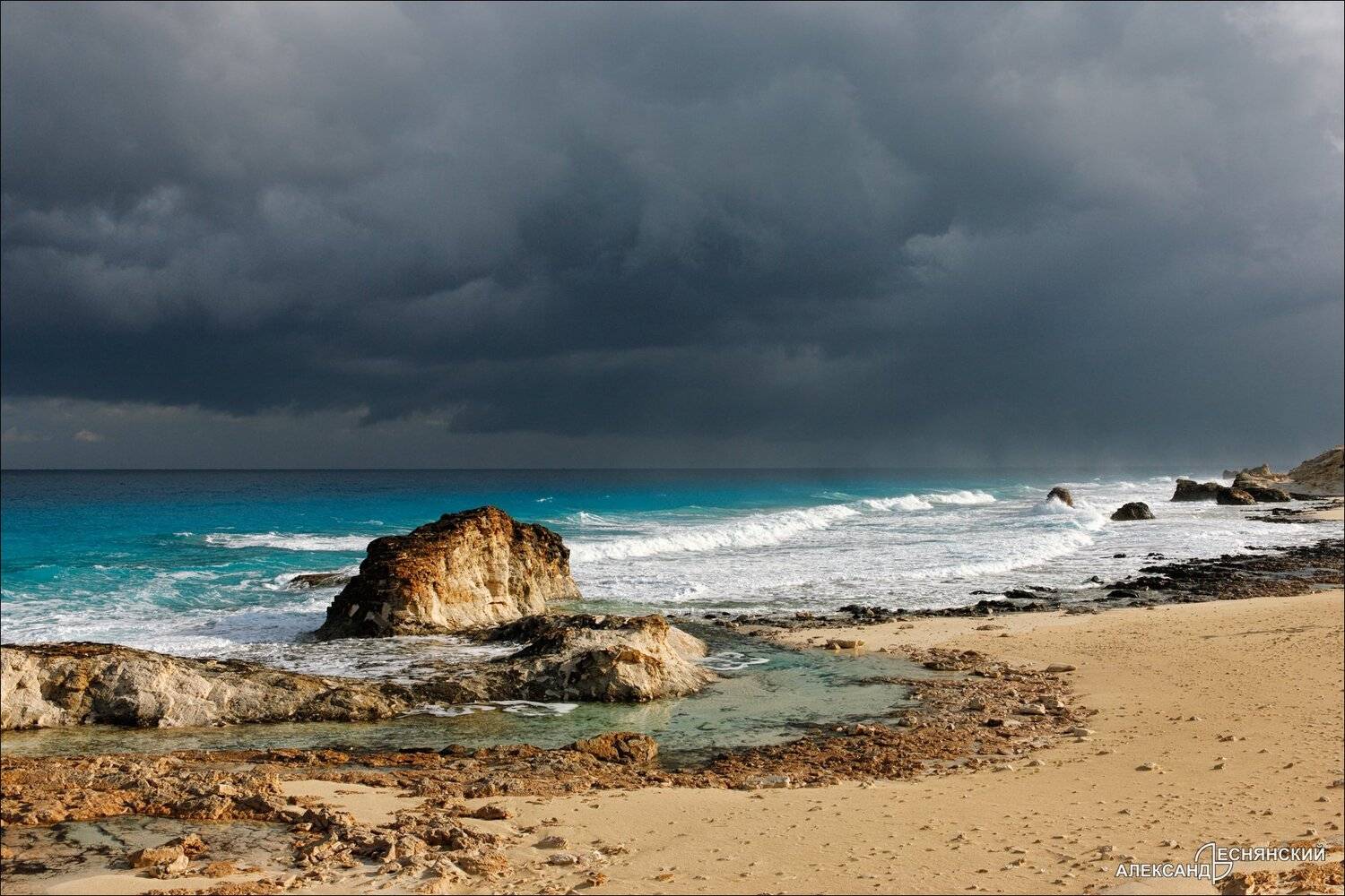 египет, Александр Леснянский