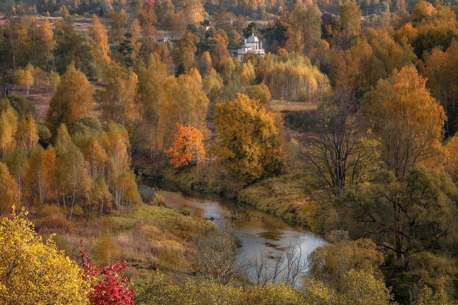 истра, река, долина, церковь, деревья, осень, октябрь, желтый, красный, оранжевый, Андрей Чиж