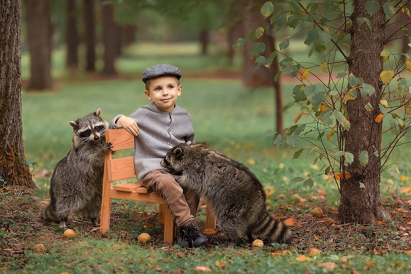фотограф, зеркальный фотоаппарат canon mark iii, фотопрогулка, мальчик, осень, закат, ребенок, фотосессия с животными, детский фотограф, малыш, енот, енотик, счастье, радость, дети на фото, семейная фотография, любовь, детская фотосессия, восторг Друзьяшки фото превью