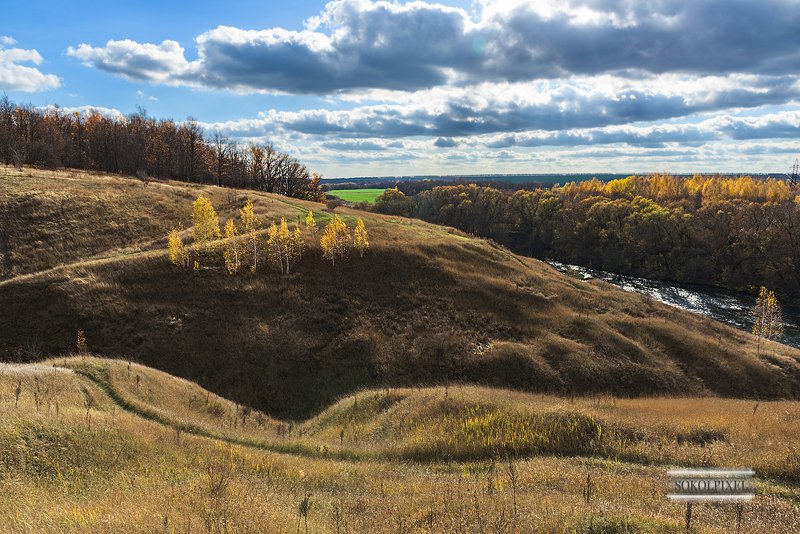 Отшельники среди берёз фото превью