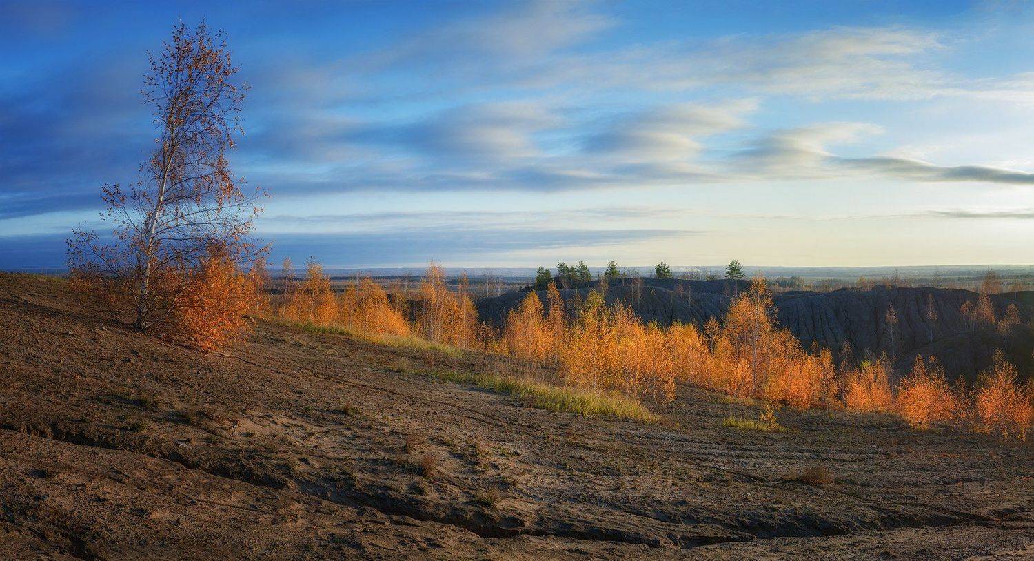 , Анатолий Зверев