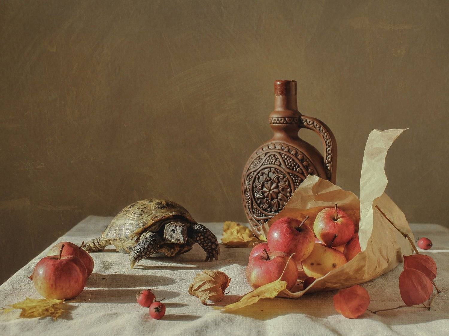 натюрморт, still life, черепаха, Ольга Савостина
