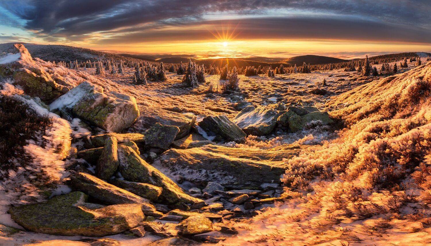 landscape, tree, sunset, panorama, Petr Fiala