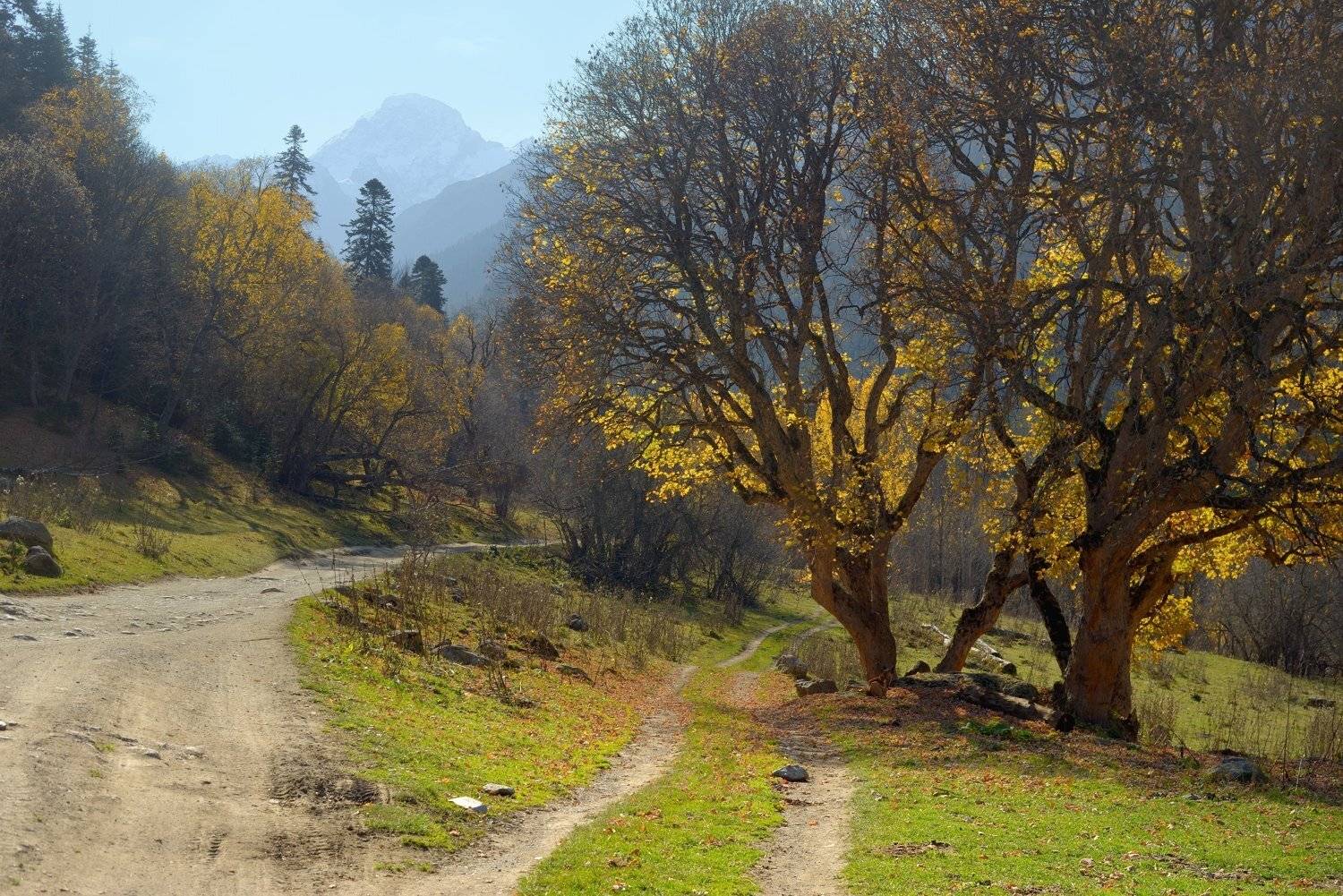 горы кавказ осень архыз, Александр Жарников