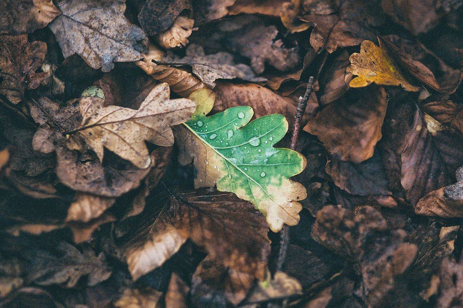 южный, урал, губерля орск, новотроицк, Качурин Алексей