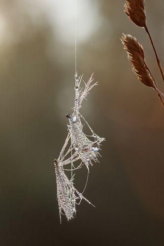 Эквилибристы