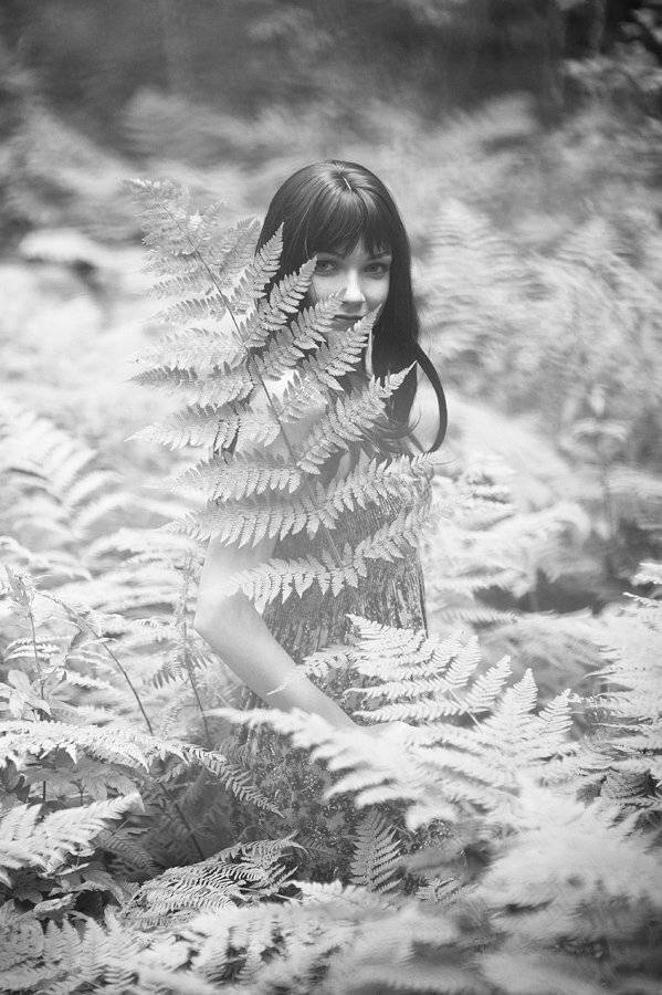 , Григорий Пиль