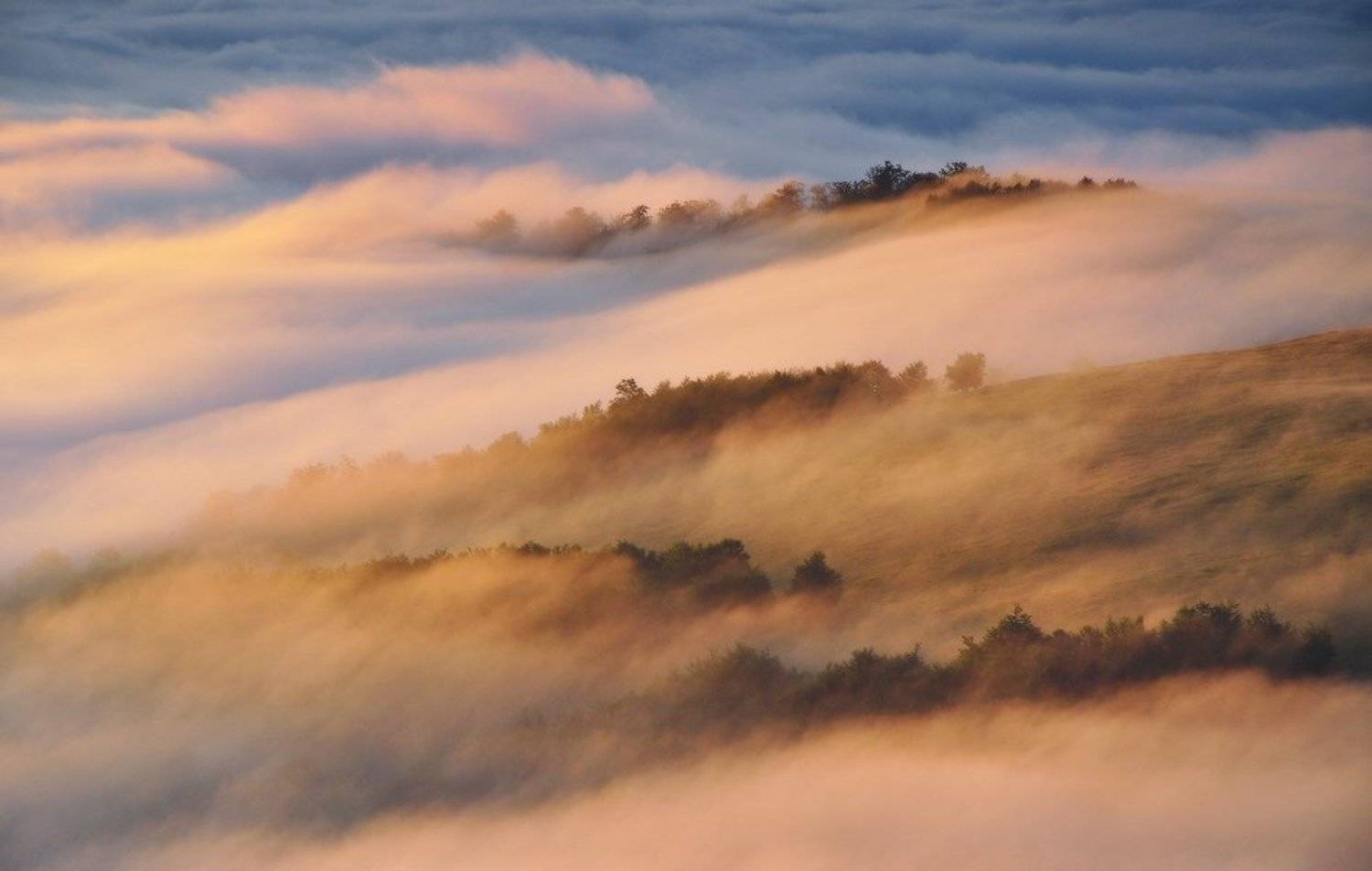 , Денис Кривой