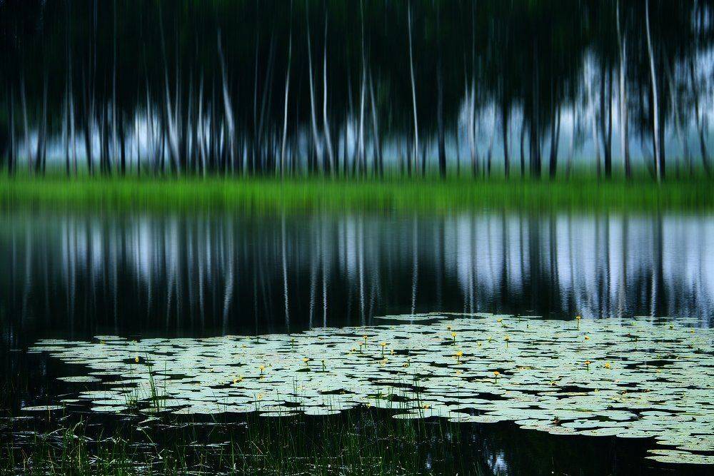 , Николай Морский