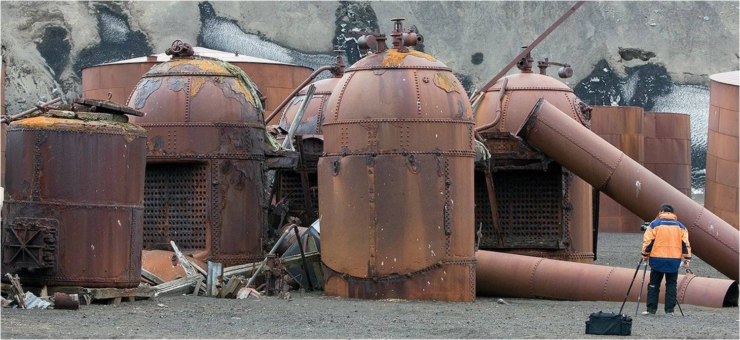 , Игорь Гущин