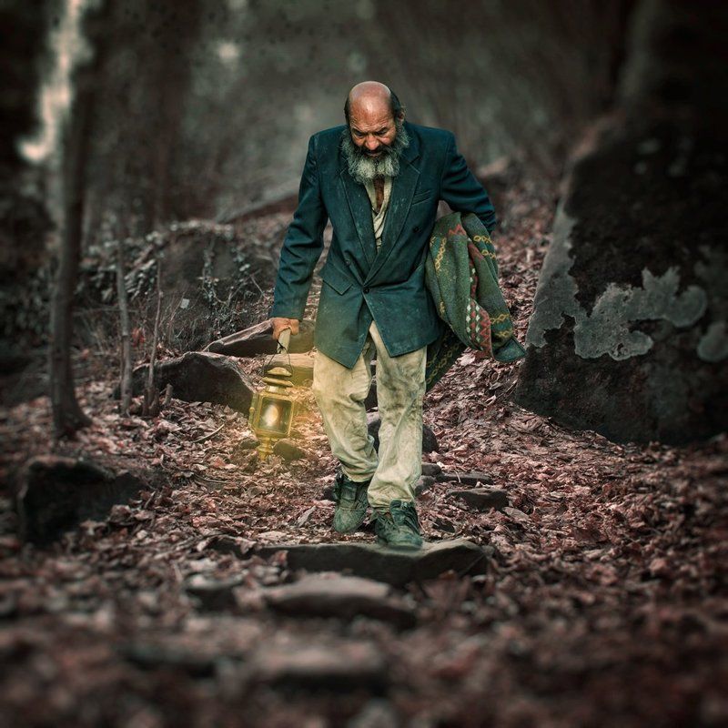 forest, light, old, tree, leaf, man, alone, traveling, pole, stone, stairs, walking World wide traveler фото превью