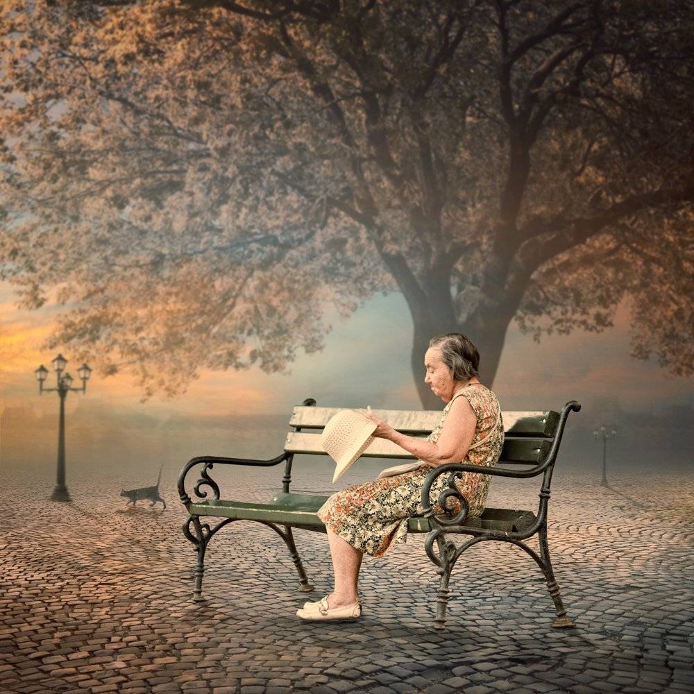 sky, reflection, cat, light, clouds, tree, building, bench, woman, castle, Caras Ionut