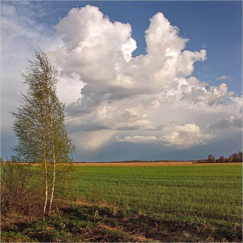 весна, рязанщина, Тарасов Алексей