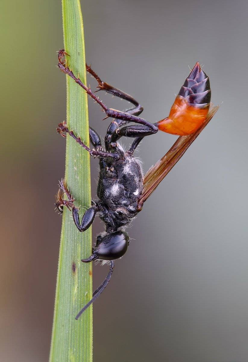 , Вадим Ходаковский