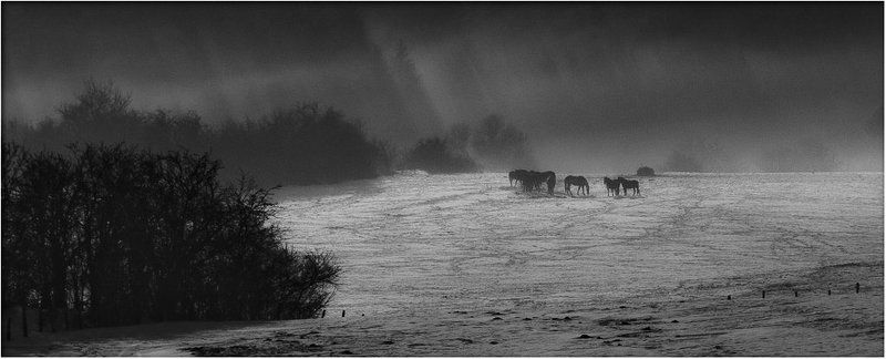 на перевале фото превью