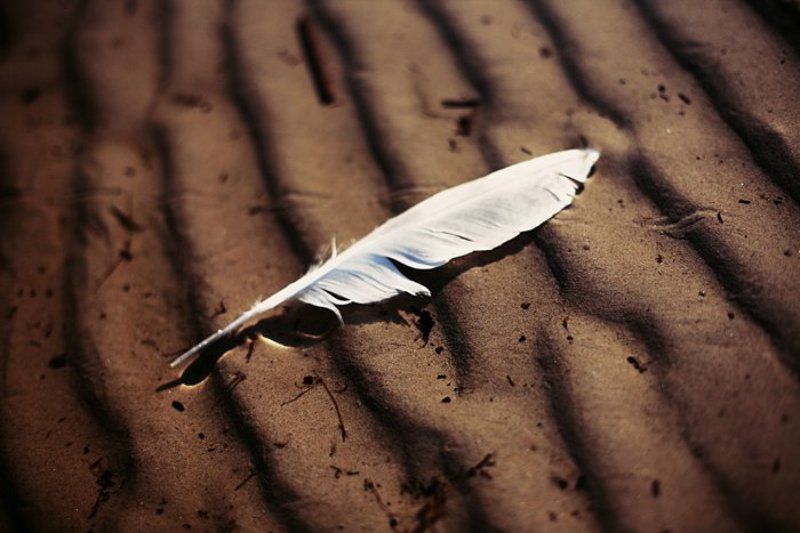 *** фото превью