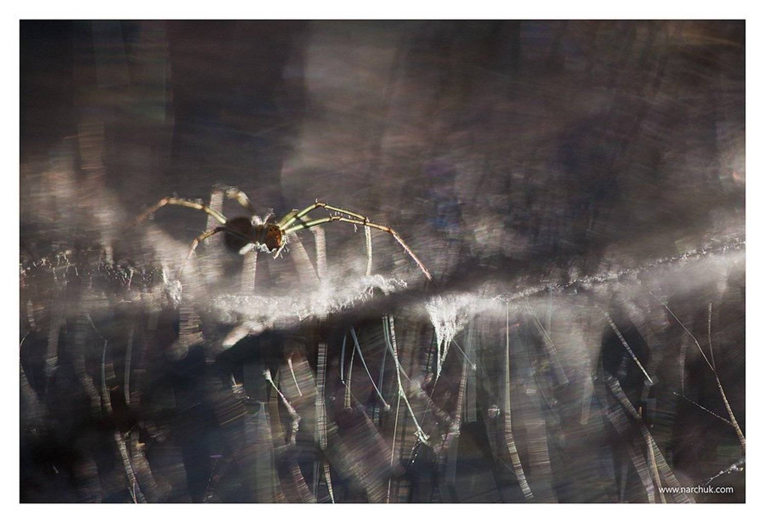 , Нарчук Андрей