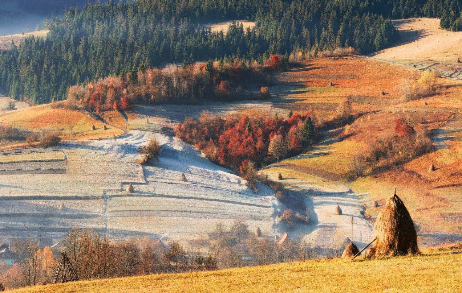 карпаты, ноябрь, пилипец, утро, иней, Алексей Угальников