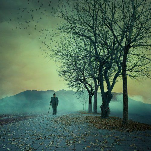 End of a autumn