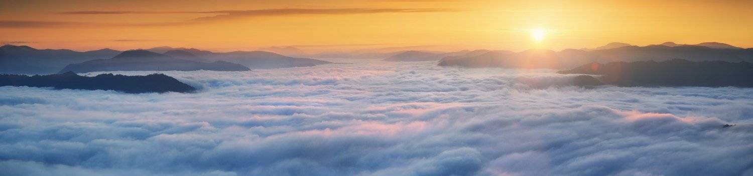 , Денис Кривой