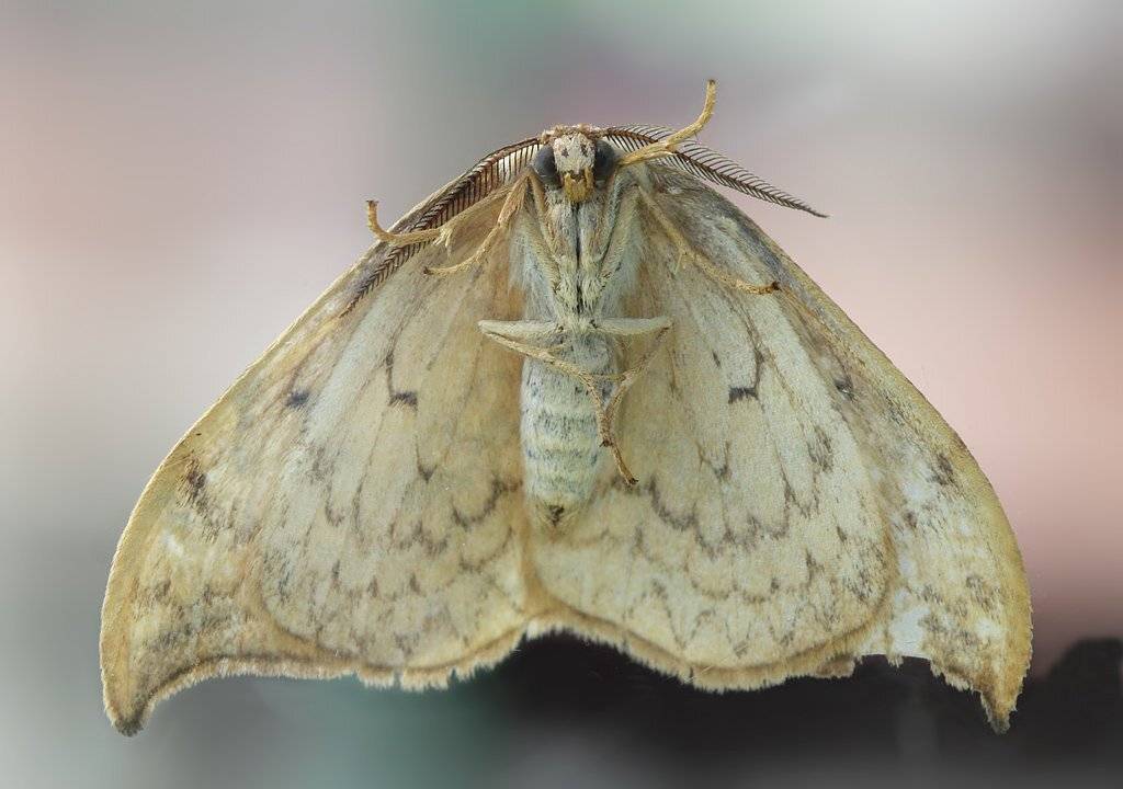 , Сергей Таланов