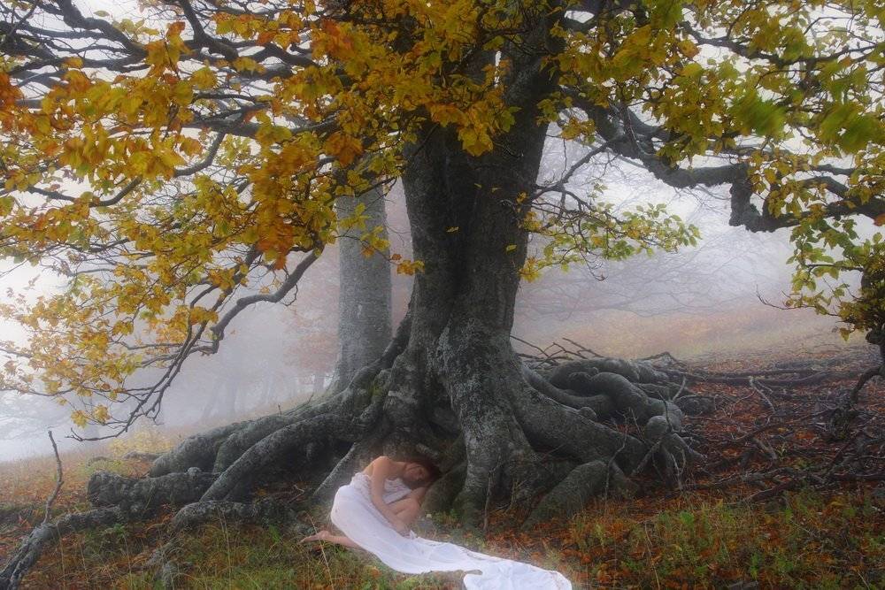 , Виталий Ра