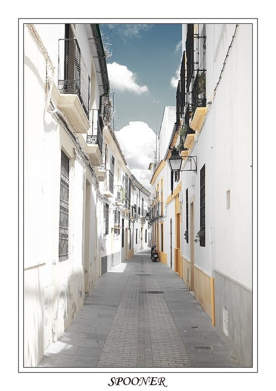 * * * фото превью