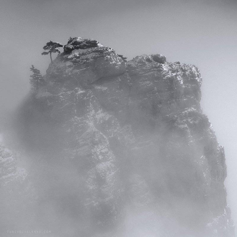 kovalenko, крым, туман, скала, дерево, Юрий Коваленко