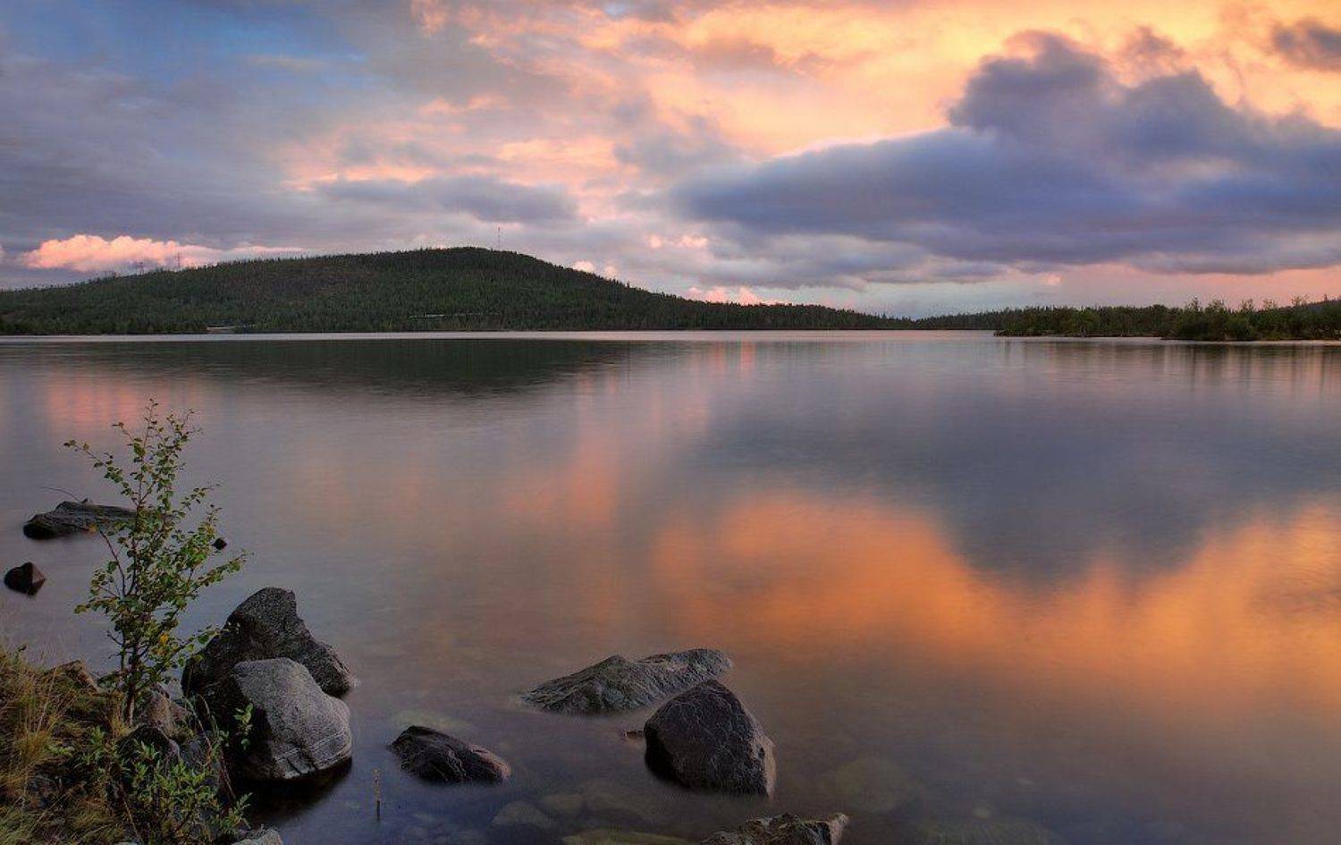 2007, Дима Лялин