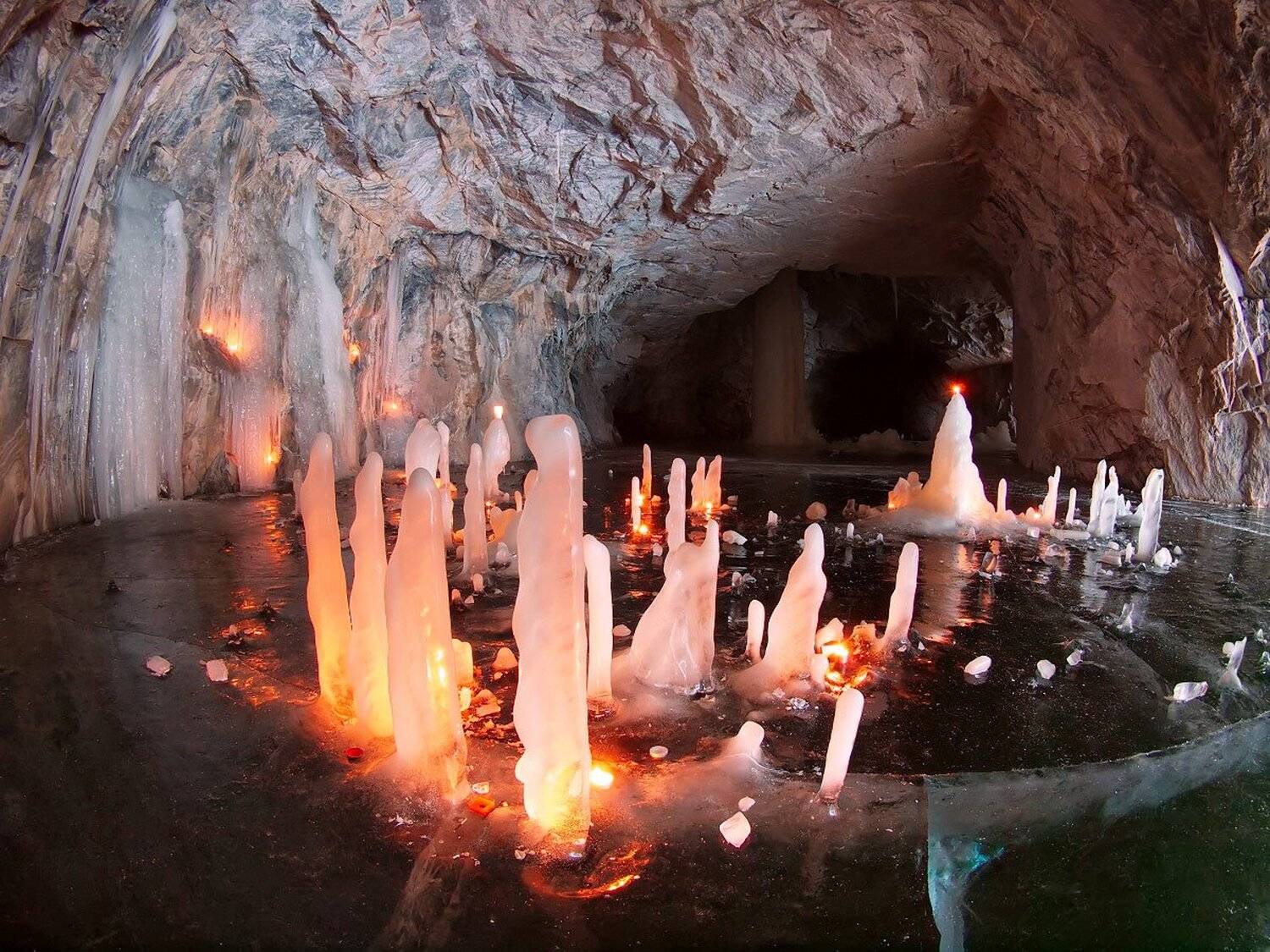 , Максим Евдокимов