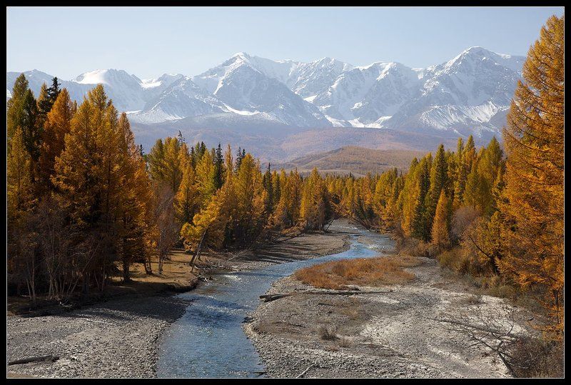 алтай, река, актру Долина Актру (осень) фото превью
