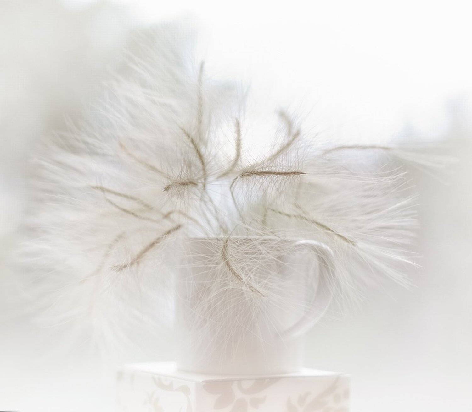 , Андрей Финогенов