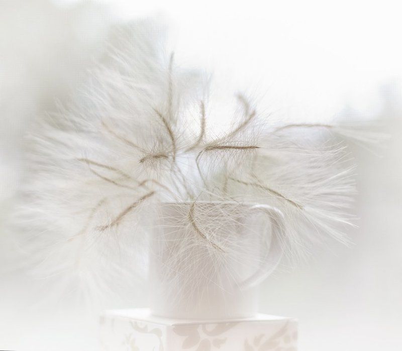 Гаррига фото превью