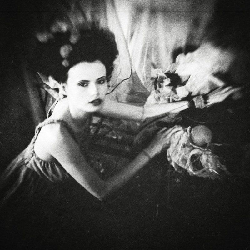 nest фото превью