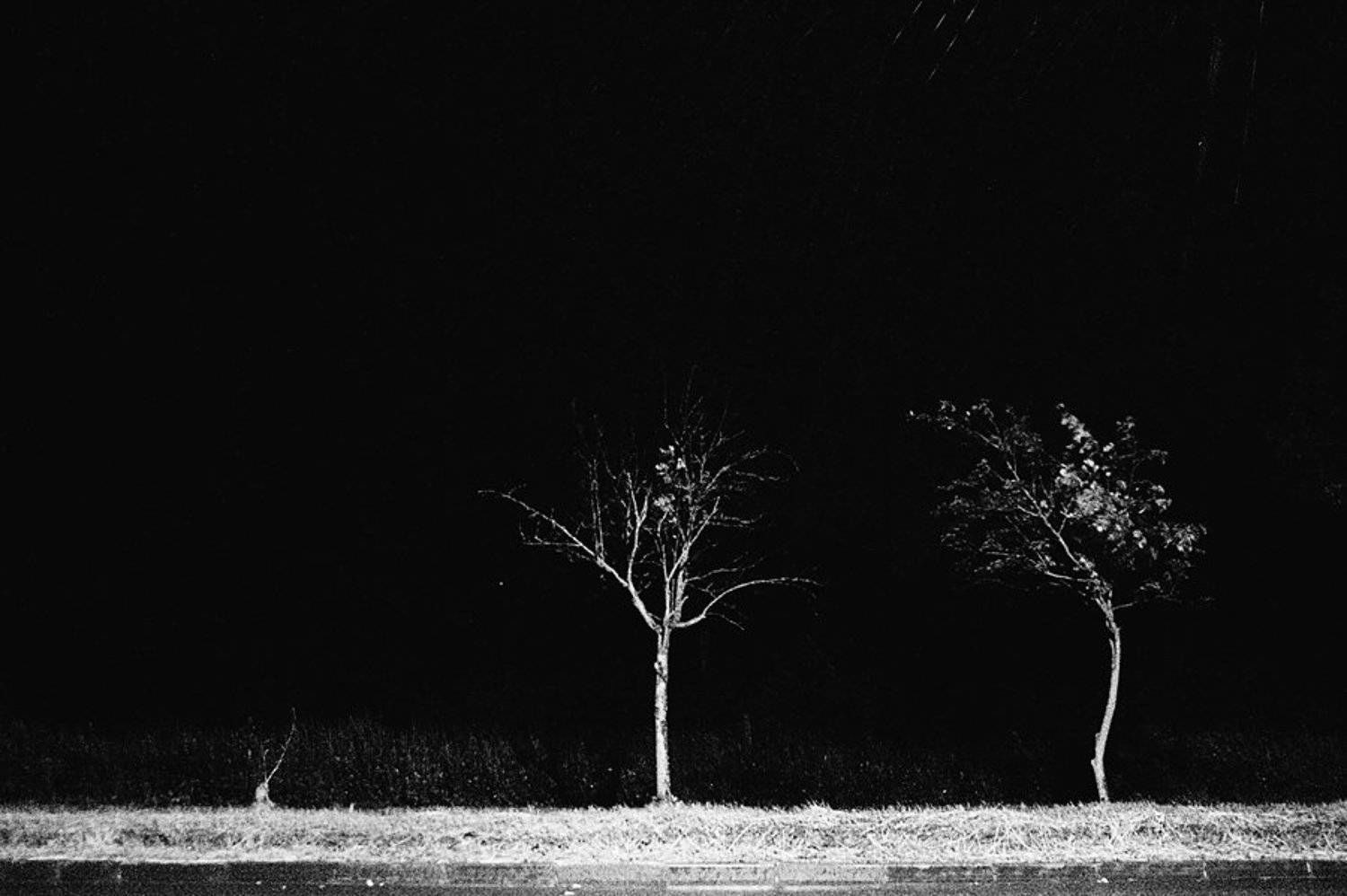 , Тимофеевский Валерий