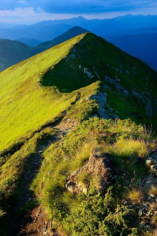 карпати  фото превью