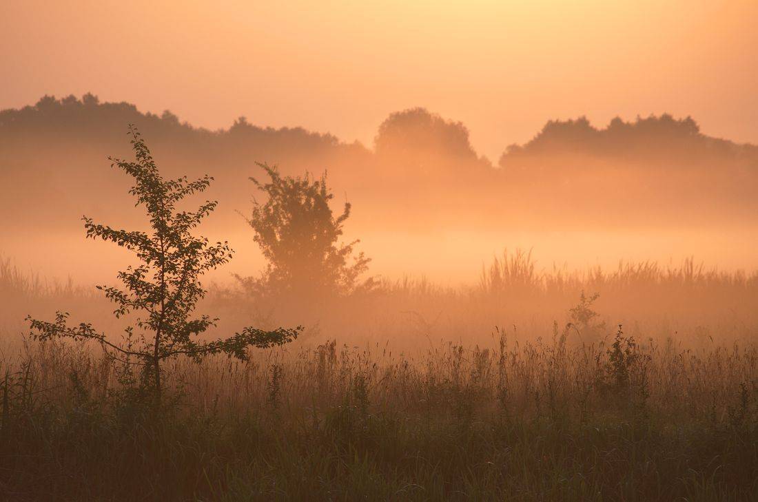 , Володимир Карчевський