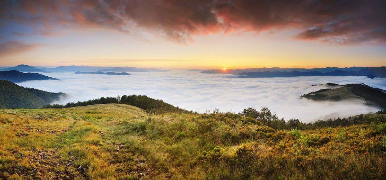 , Денис Кривой