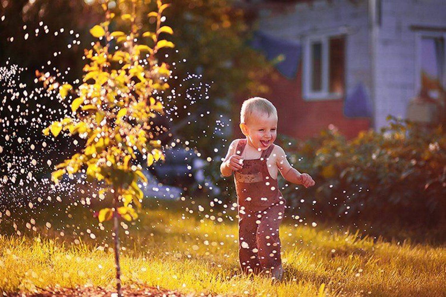 , Бегека Наталья