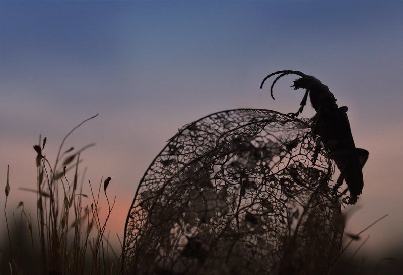 День ушел, и не догонишь фото превью