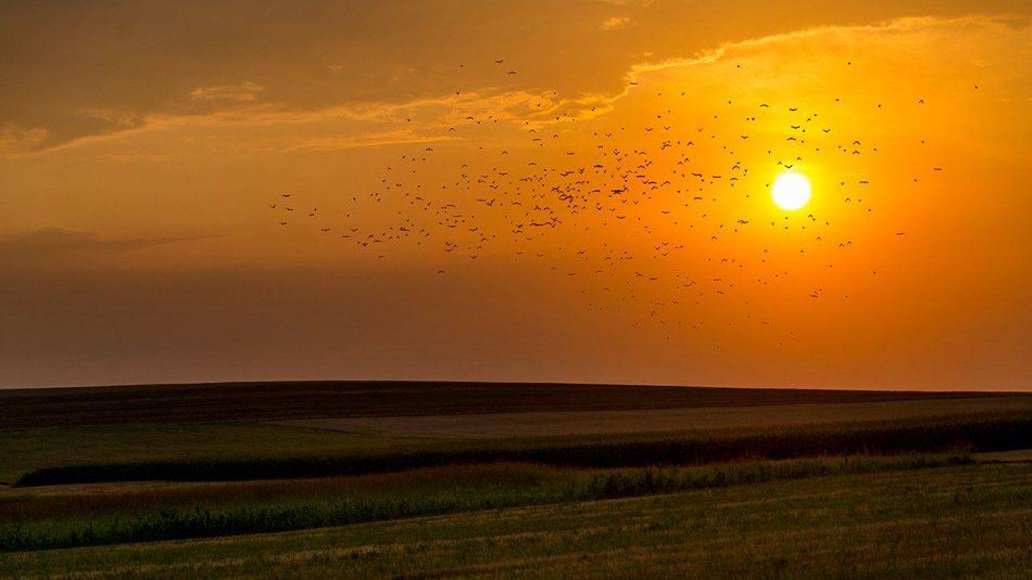 , Jordanka Jordanova