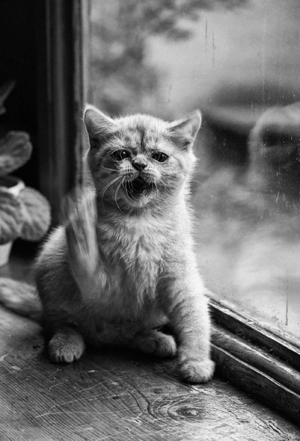 , Наталья Кузнецова (Nateletro)