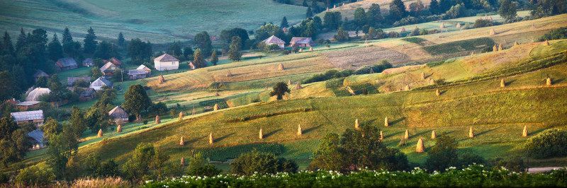 июль, карпаты, лето, утро Утренний вид на Подобовец фото превью